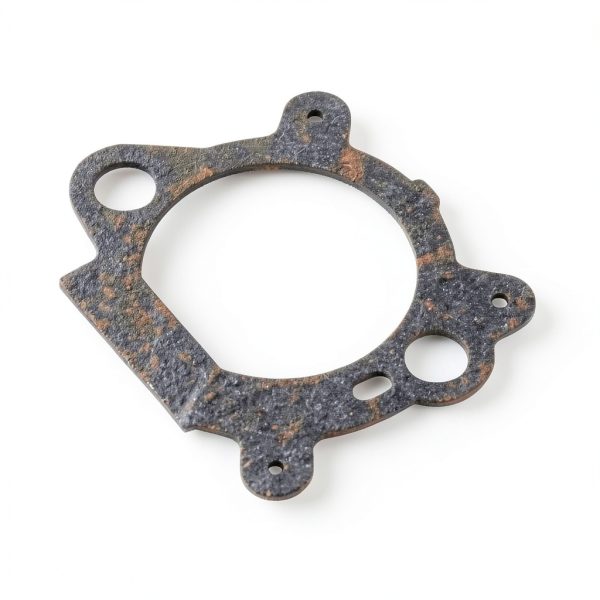 Carburetor Gasket Replaces for 795629 Panari Automotive-5