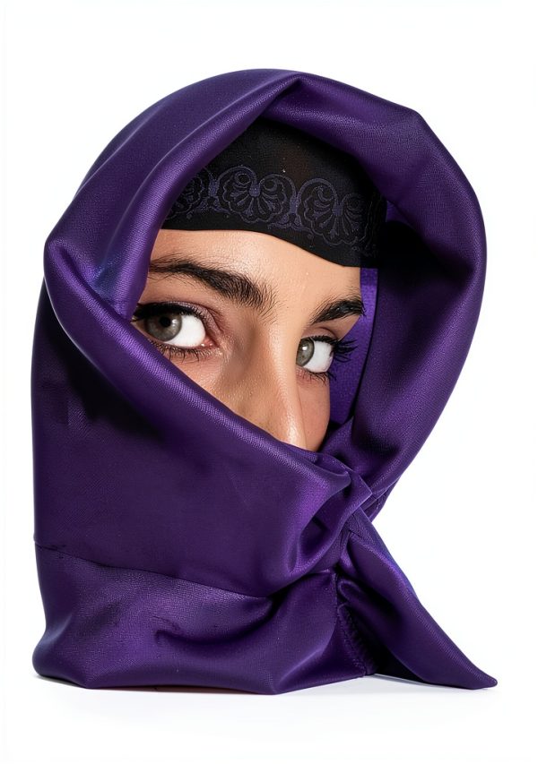 Princess History of Arabian Peninsula Book 5 Kindle Edition Amazon-0